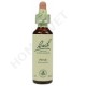 Bach Flower Remedies for Animals - Pine